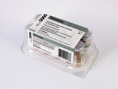 Síndrome de cabeza hinchada. Las aves afectadas presentan síntomas ...